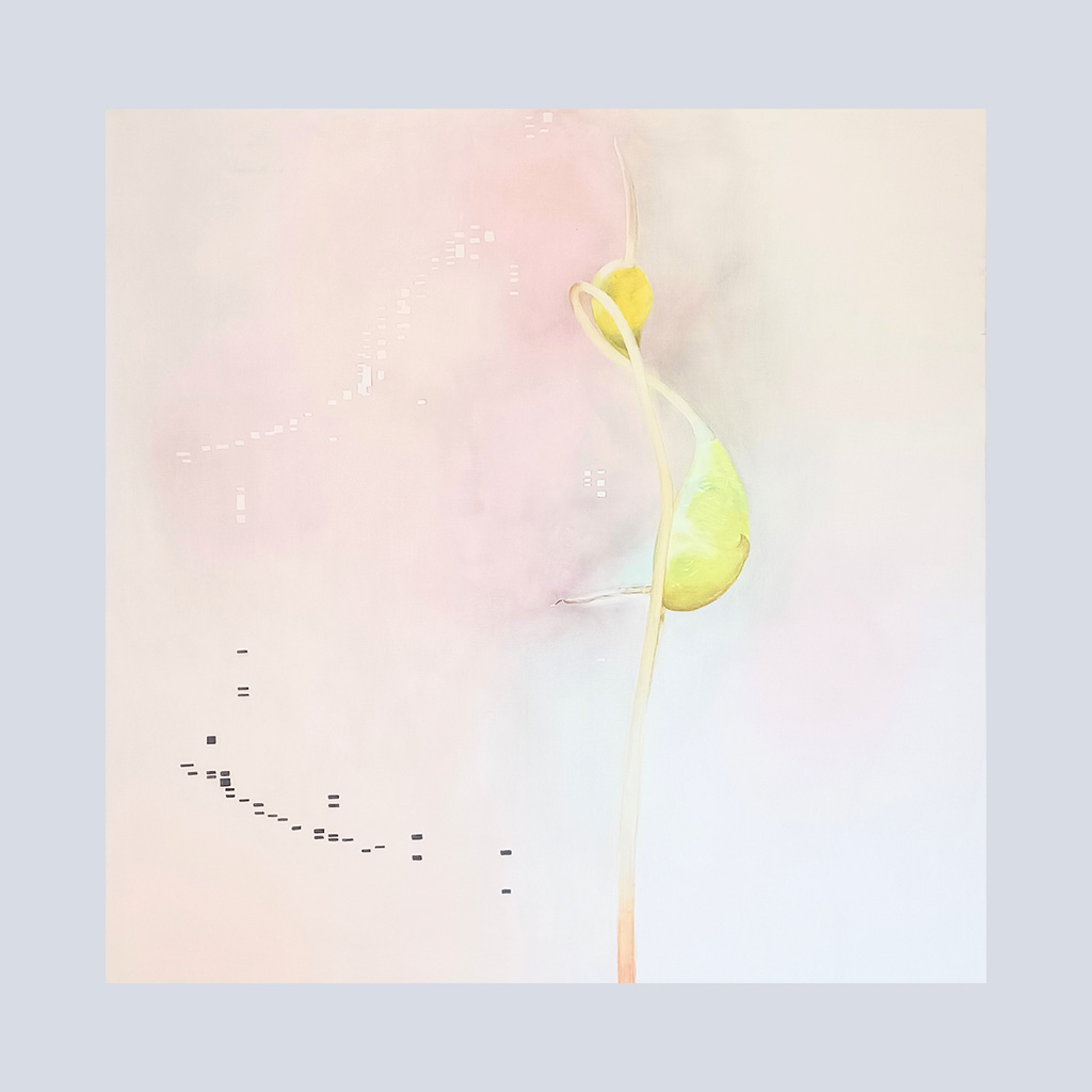 003