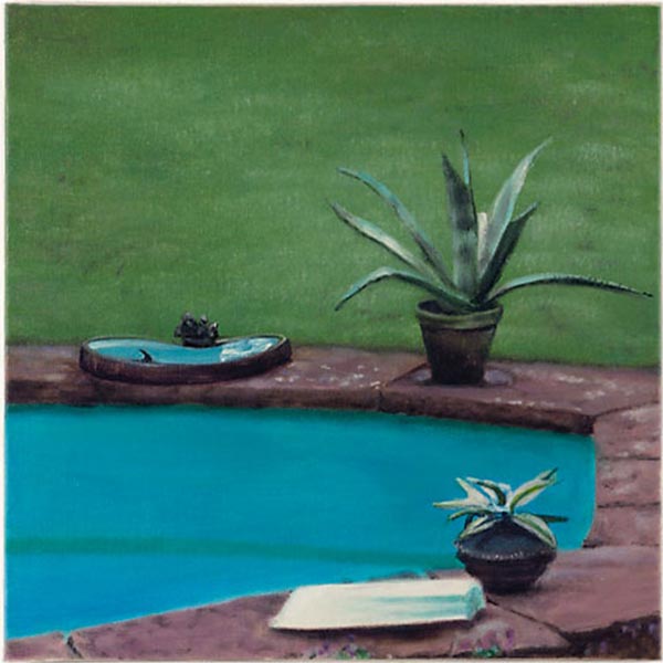 Haifisch in Vogeltränke 2004,Öl Lw, 40x40cm